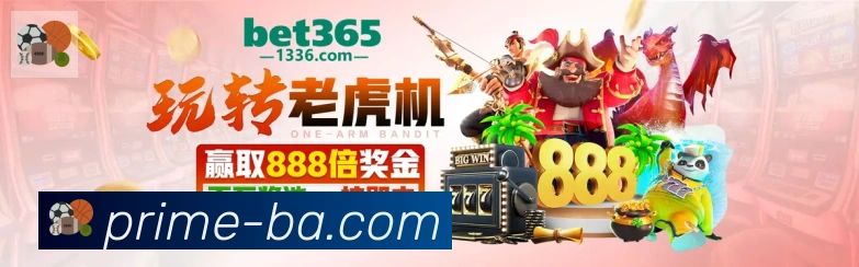 互动解说服务